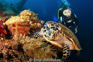 Turtle and old school (mask) diver by Erich Reboucas 